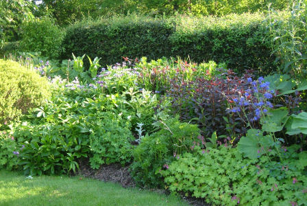 Planting at Malvern Flower Show 2009